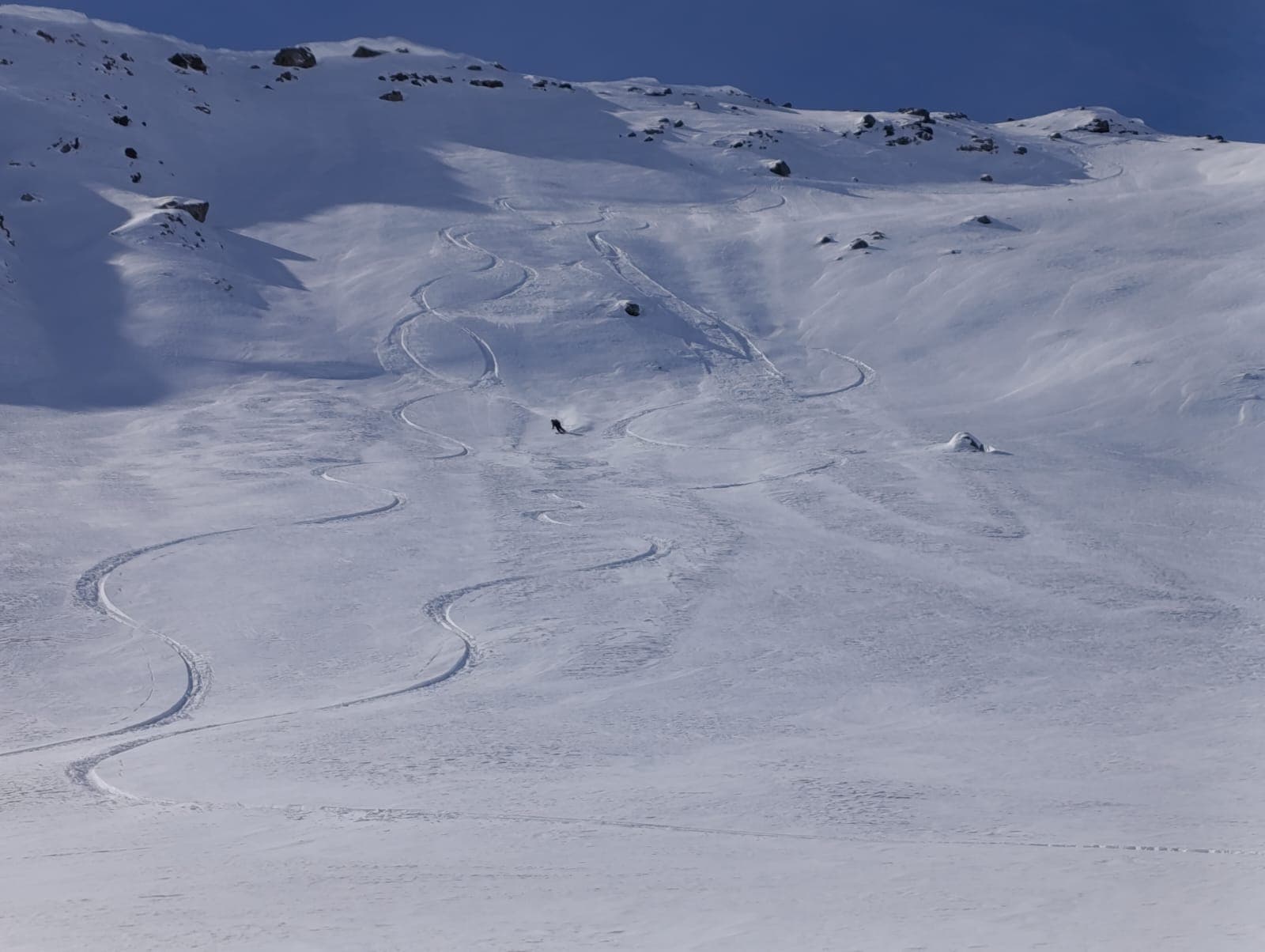 Groupe de skieurs dans les Alpes